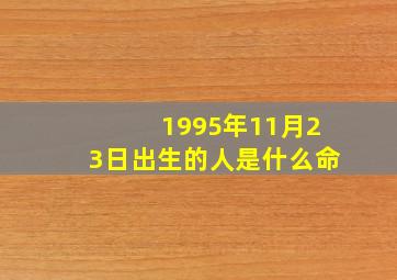 1995年11月23日出生的人是什么命