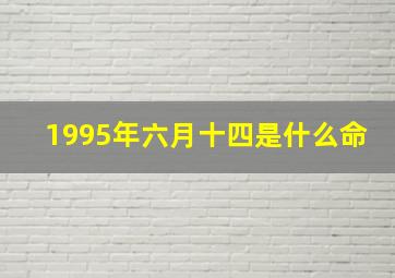 1995年六月十四是什么命