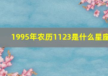 1995年农历1123是什么星座