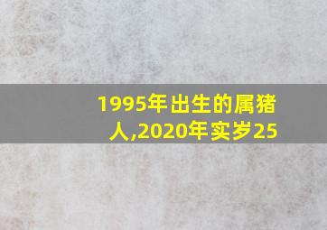 1995年出生的属猪人,2020年实岁25