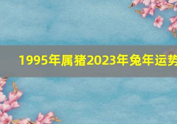 1995年属猪2023年兔年运势