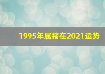 1995年属猪在2021运势