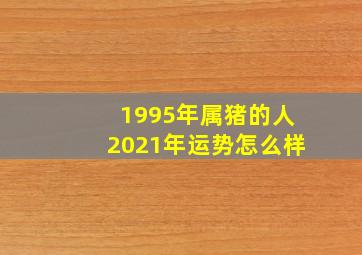 1995年属猪的人2021年运势怎么样