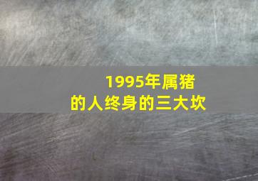 1995年属猪的人终身的三大坎