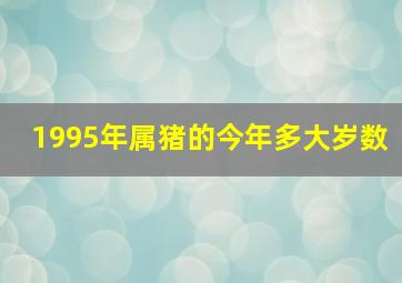 1995年属猪的今年多大岁数