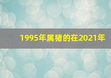 1995年属猪的在2021年