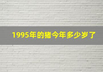 1995年的猪今年多少岁了