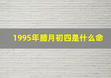 1995年腊月初四是什么命