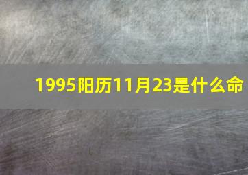 1995阳历11月23是什么命