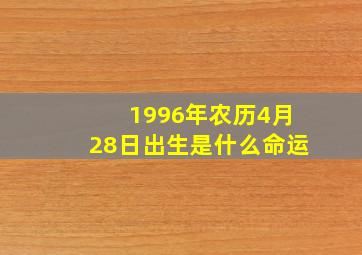 1996年农历4月28日出生是什么命运