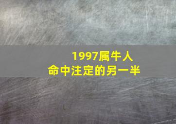 1997属牛人命中注定的另一半