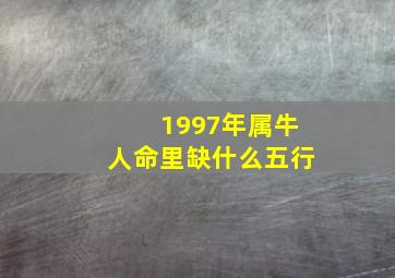 1997年属牛人命里缺什么五行