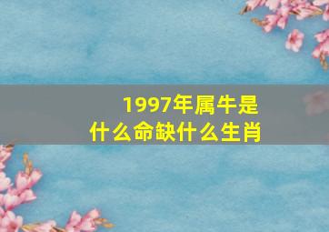 1997年属牛是什么命缺什么生肖