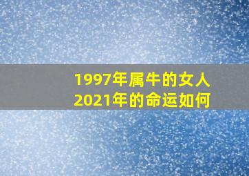 1997年属牛的女人2021年的命运如何