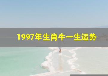 1997年生肖牛一生运势