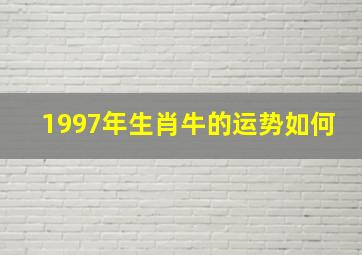 1997年生肖牛的运势如何