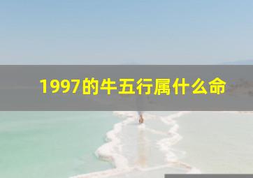 1997的牛五行属什么命