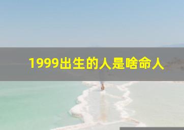 1999出生的人是啥命人