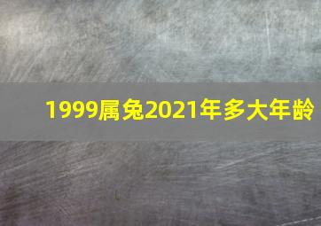 1999属兔2021年多大年龄