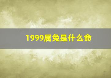 1999属兔是什么命