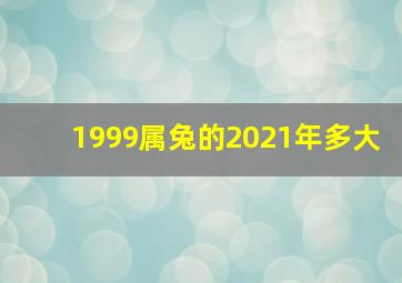 1999属兔的2021年多大