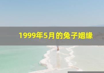 1999年5月的兔子姻缘