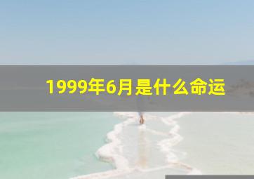 1999年6月是什么命运