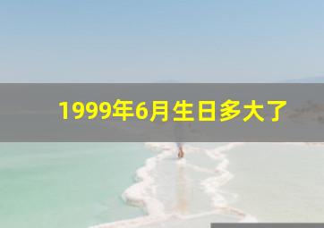 1999年6月生日多大了