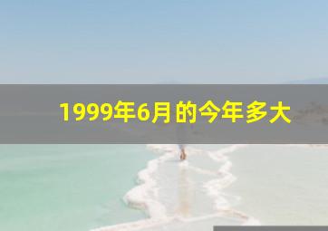 1999年6月的今年多大