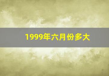 1999年六月份多大