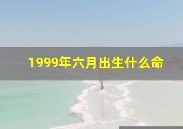 1999年六月出生什么命