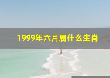 1999年六月属什么生肖