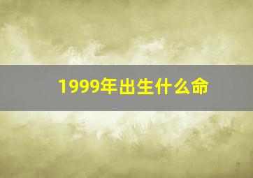 1999年出生什么命