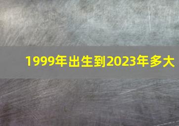 1999年出生到2023年多大