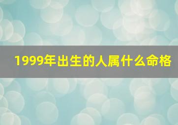 1999年出生的人属什么命格