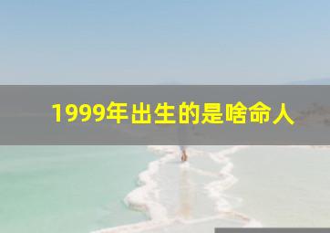 1999年出生的是啥命人