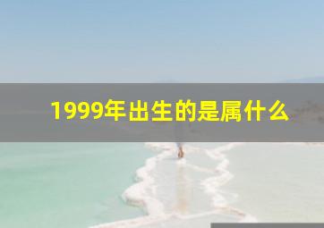 1999年出生的是属什么