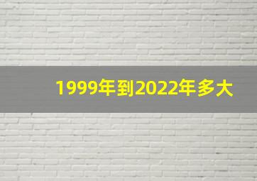 1999年到2022年多大