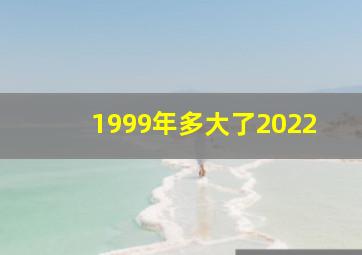 1999年多大了2022