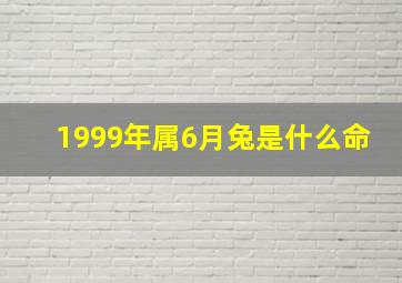 1999年属6月兔是什么命