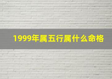 1999年属五行属什么命格