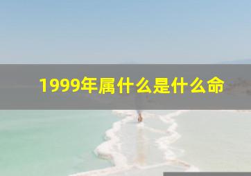 1999年属什么是什么命