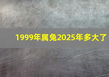 1999年属兔2025年多大了