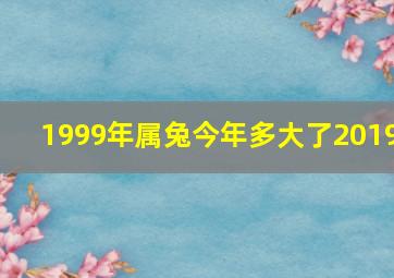 1999年属兔今年多大了2019