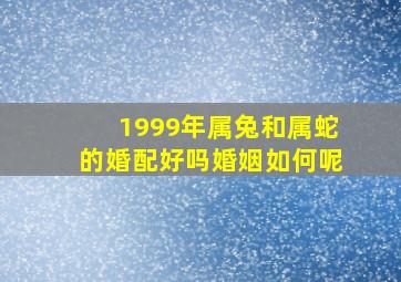 1999年属兔和属蛇的婚配好吗婚姻如何呢