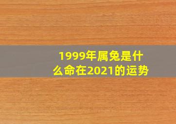 1999年属兔是什么命在2021的运势