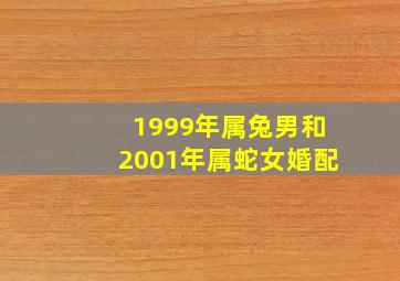 1999年属兔男和2001年属蛇女婚配