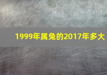 1999年属兔的2017年多大