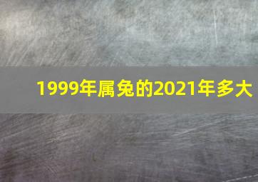 1999年属兔的2021年多大