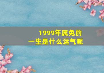 1999年属兔的一生是什么运气呢